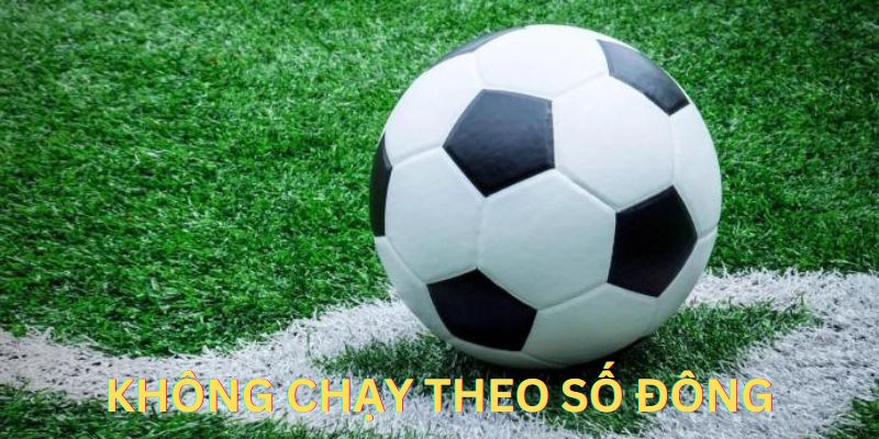 Kinh nghiệm cược bóng đá luôn thắng là không chạy theo số đông